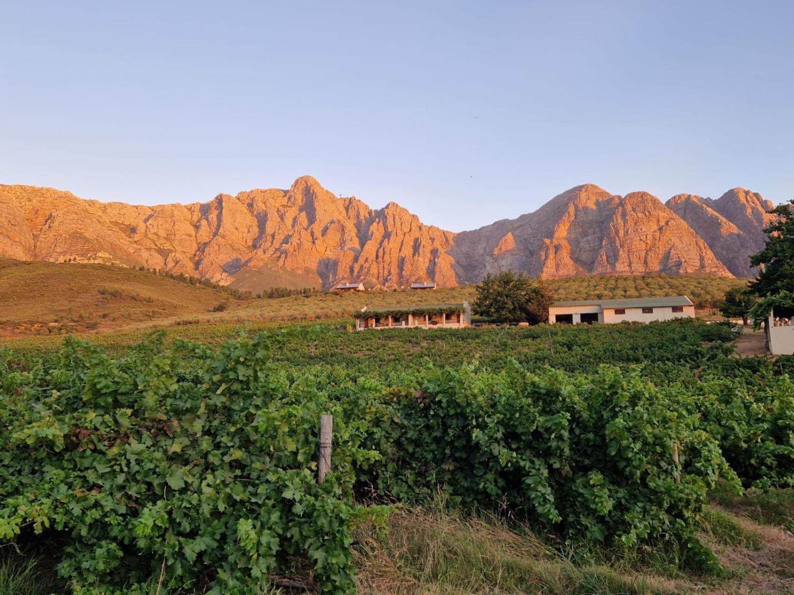 Vredehoek Guest Farm Breerivier Екстер'єр фото