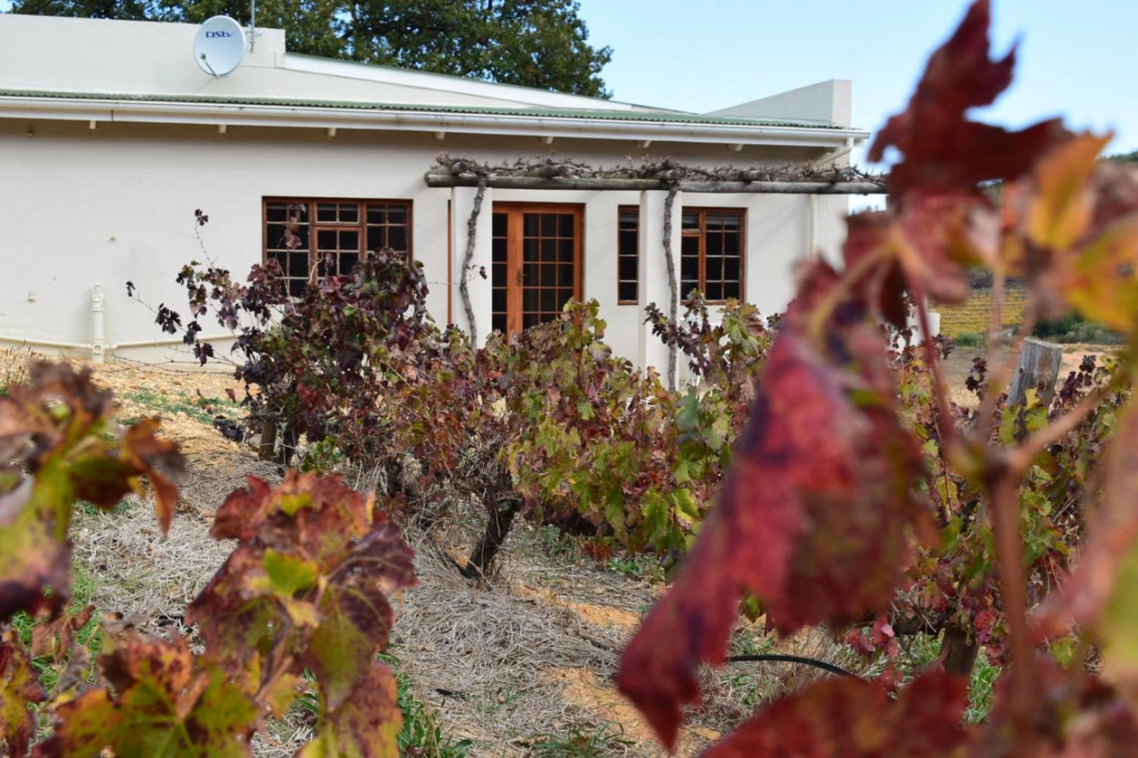 Vredehoek Guest Farm Breerivier Екстер'єр фото